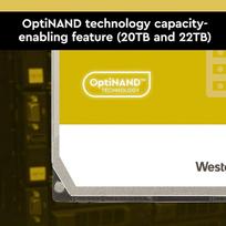 ssd serveriam - Western Digital Gold Enterprise 22TB 3.5®® 512MB WD221KRYZ - 6 nuotrauka