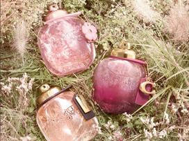 coach kvepalai - Coach Wild Roses EDP 50ml - 4 nuotrauka