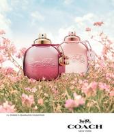 coach kvepalai - Coach Wild Roses EDP 50ml - 5 nuotrauka