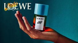 loewe solo - Loewe Paula's Ibiza EDT 100ml - 4 nuotrauka