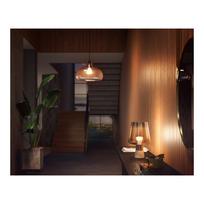 ismanioji lempute - Philips Hue White E27 W 9W BT 2-pak - 4 nuotrauka