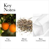 white tea kvepalai - Elizabeth Arden White Tea Mandarin Blossom EDT 100ml - 7 nuotrauka