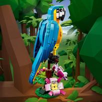 lego 3 in 1 - LEGO Creator 3in1 Egzotiška papūga 31136 - 7 nuotrauka