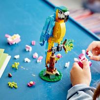 lego 3 in 1 - LEGO Creator 3in1 Egzotiška papūga 31136 - 8 nuotrauka