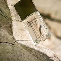 issey miyake l'eau d'issey - Issey Miyake L'eau D'issey Pour Homme EDT 50ml - 5 nuotrauka