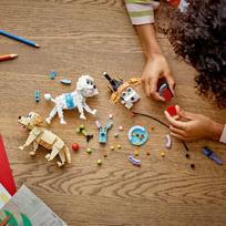 lego creator - LEGO Creator 3in1 Žavūs šunys 31137 - 5 nuotrauka
