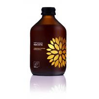 Gaivusis arbatos gėrimas VIGO Kombucha, GAIVKA450_13403