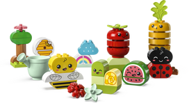 lego konstruktoris - LEGO DUPLO My First Ekologinis sodas 10984  - 4 nuotrauka