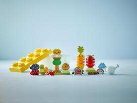 lego konstruktoris - LEGO DUPLO My First Ekologinis sodas 10984  - 6 nuotrauka
