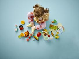 lego konstruktoris - LEGO DUPLO My First Ekologinis sodas 10984  - 7 nuotrauka