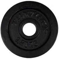 svorio diskai 30mm 5kg - Ketaus svarmenys TUNTURI 0,5-20kg - 2 nuotrauka