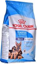  Royal Canin Starter Mother And Babydog Maxi, paukštiena, 4 kg