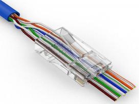 cat6 - LANBERG PLS-6020EZ Lanberg Plug RJ-45 FT - 4 nuotrauka