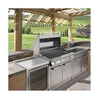 virtuvines spinteles -  Steel Genesi G7C-P SS - 3 nuotrauka