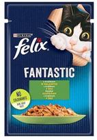 Felix Fantastic, 0.085 kg