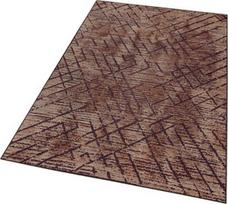 Kilimas Conceptum Hypnose 213HFT2410, įvairių spalvų, 100 cm x 60 cm