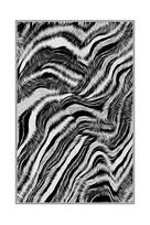 Kilimas Conceptum Hypnose 571HFT2245, baltas/juodas, 120 cm x 80 cm