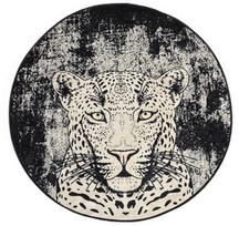 Kilimas Conceptum Hypnose Tiger 882CHL1111, įvairių spalvų, 140 cm x 140 cm
