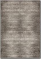 Kilimas Conceptum Hypnose ASR CRPT-137 288NGR2431, įvairių spalvų, 230 cm x 160 cm