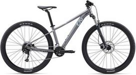 Dviratis kalnų Liv Tempt 2, 29 ", M rėmas, pilkas