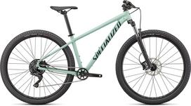 Dviratis Specialized MTB ROCKHOPPER COMP 29 WHTSGE/FSTGRN L dydis