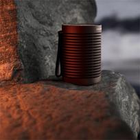 beosound - Bang & Olufsen Beosound Explore Chestnut - 3 nuotrauka