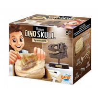 Rinkinys tyrinėjimui "Iškask dinozauro T-Rex kaukolę"