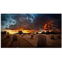 samsung monitorius - Samsung Videowall LH55VMBUBGBXEN  - 1 nuotrauka