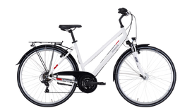Dviratis 28" Pegasus Avanti 18g baltas