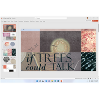 programais - Microsoft Office 365 Family - 5 nuotrauka