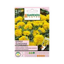 Sėklos Garden Center serentis Gypsy Sunshine, 0.4 g