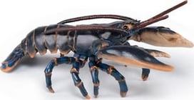  Papo Lobster 442873