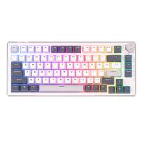 rk royal - Royal Kludge RK H81 Sky Cyan Switches - 1 nuotrauka