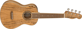 Koncertinė ukulelė Fender Zuma Exotic, natūralaus klevo spalva