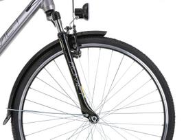 Dviratis Romet Wagant 28" 2023 sidabrinis-auksinis-19" / M (Dydis: 19" / M)