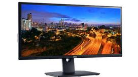 Dell U2913WM