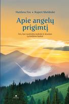 matthew fox, rupert sheldrake - Apie angelų prigimtį - 1 nuotrauka