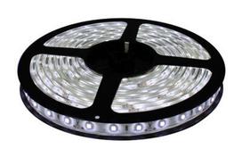 LED juosta 3m CW