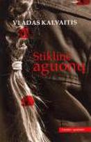 Stiklinė aguonų
