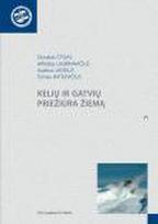 Kelių ir gatvių priežiūra žiemą