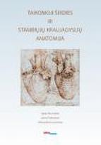 Taikomoji širdies ir stambiųjų kraujagyslių anatomija