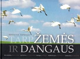 kestutis cepenas - Tarp žemės ir dangaus - 1 nuotrauka