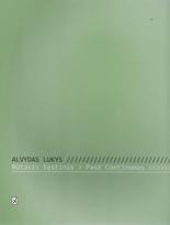 alvydas lukys - Būtasis tęstinis. Past Continuous - 1 nuotrauka