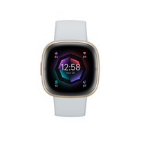 fitbit sense - FITBIT Sense 2 Blue Mist/Soft Gold - 2 nuotrauka