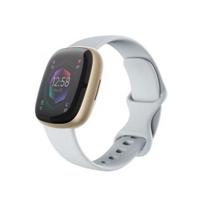 fitbit sense - FITBIT Sense 2 Blue Mist/Soft Gold - 4 nuotrauka