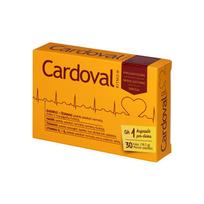 Cardoval N30