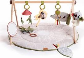 naktinis projektorius - Aktyvumo centras Tiny Love Chic Luxe Play Arch, 46 cm x 92 cm - 1 nuotrauka