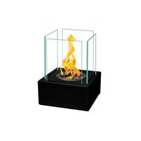 BIOHEAT SMART BLACK pastatomas biožidinys