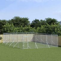 Lauko voljeras šunims, sidabrinis, 6x10x2m, plienas