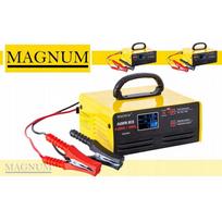 Magnum AGRI 23 AGM / GEL12 / 24V INVERTERINIS KROVIMAS 250Ah